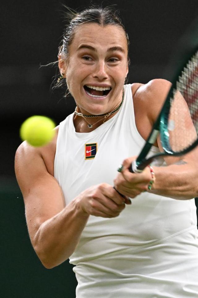 系的适配性 系的适配性